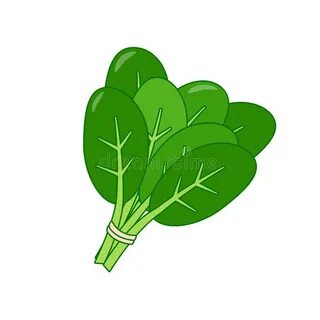 Spinach Plant Stock Illustrations - 3,460 Spinach Plant Stoc