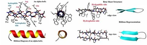 Peptide Mimetics