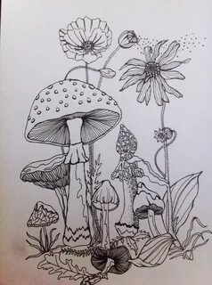 Drawn mushroom forest - Pencil and in color drawn mushroom f