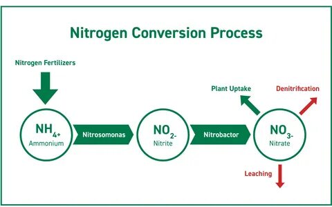 liquid nitrogen conversion chart - Monsa.manjanofoundation.o