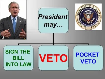 President may. SIGN THE BILL INTO LAW VETO POCKET VETO. - pp