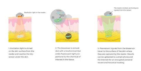 Proof The 'Pandemic' Was Planned With A Purpose While Thousa