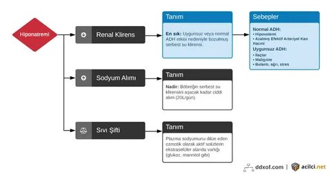 Yazılar - Acilci.Net