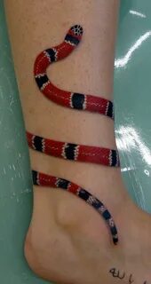 Coral snake by Arnaldo Radeke Snake tattoo, Milk snake, Arou