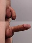 File:Flaccid and erect uncircumcised penis.jpg - Wikimedia C