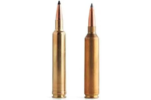 Gallery of 300 win mag vs 30 06 sprg cartridge comparison sn