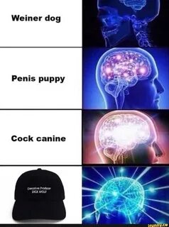 https://memes.mobi/weiner+dog+dick+wolf+meme