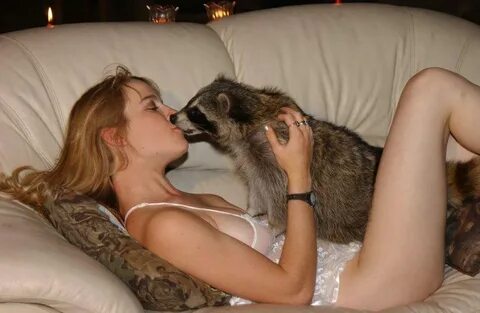 Fucc raccoon - Album on Imgur