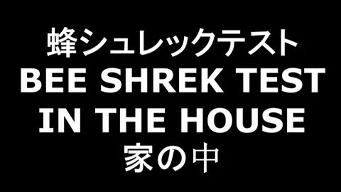 Bee Shrek Test in the House (Anime OP) - YouTube
