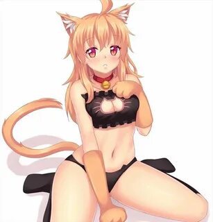 100 pieces of eroticism images cat lingerie to look at the g