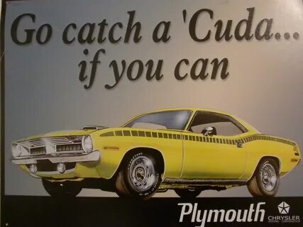 Understand and buy the cuda cheap online