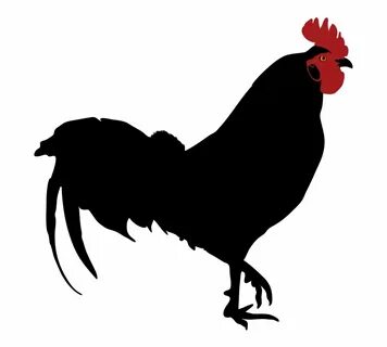 rooster silhouette vector