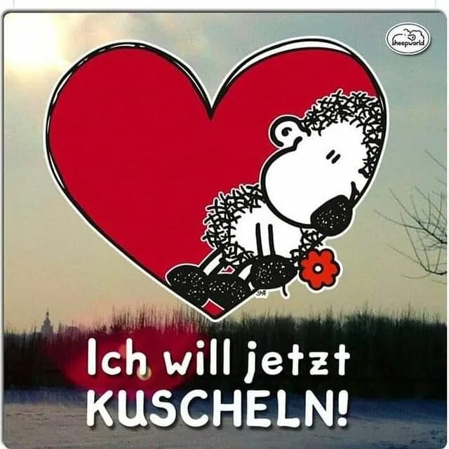 May be an image of text that says 'sheepworld Ich will jetzt KUSCHELN!...