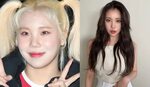 MOMOLAND JooE Reveals Her Diet Plan That Resulted in Her Inc