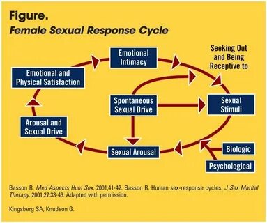 Female sexual response cycle not dominated by spontaneous libido Physical H