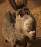 Donkey (Shrek) The Parody Wiki Fandom