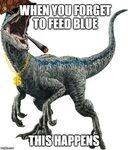 velociraptor Memes & GIFs - Imgflip