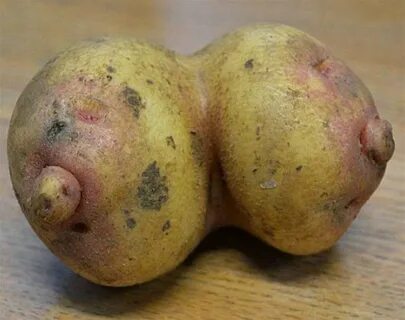 2 potatoes looking like boobs