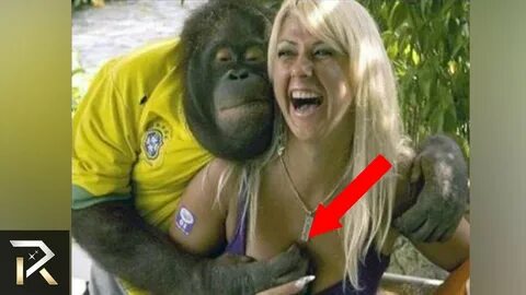 10 Most Inappropriate Animal Encounters! - TrendFlix.com - Y