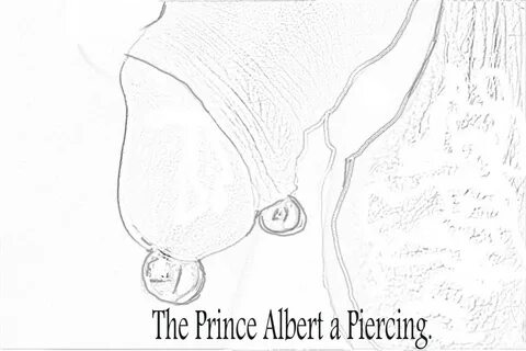 File:Prince Albert Piercing Lg.JPG - Wikimedia Commons