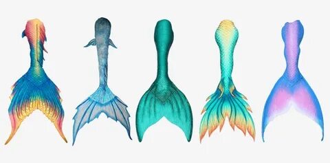 Best Silicone Mermaid Tails - Colas De Sirenas Dibujo PNG Im