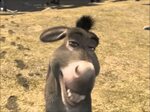 Donkey From Shrek Smiling - NEO Coloring