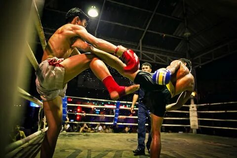 Чем отличается тайский бокс от бокса wikifight.ru