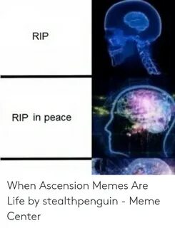 RIP RIP in Peace When Ascension Memes Are Life by Stealthpen