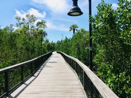 File:Gordon River Greenway.jpg - Wikimedia Commons