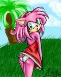 Amy Sonic Style - Sonic the Hedgehog tagahanga Art (28029565
