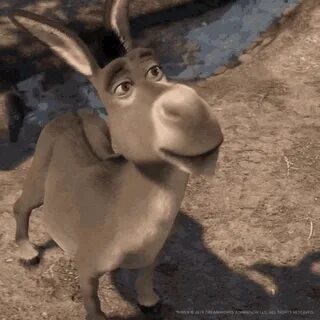 No Donkeys GIF - No Donkeys Shrek - Discover & Share GIFs