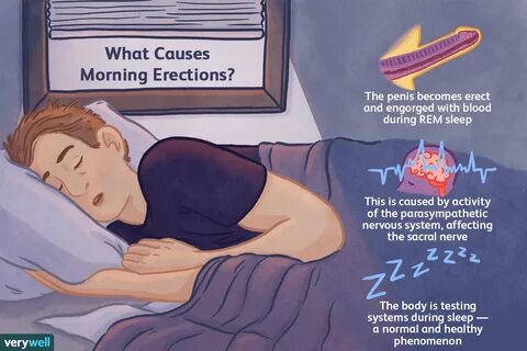 Causes of Morning Erections in Men