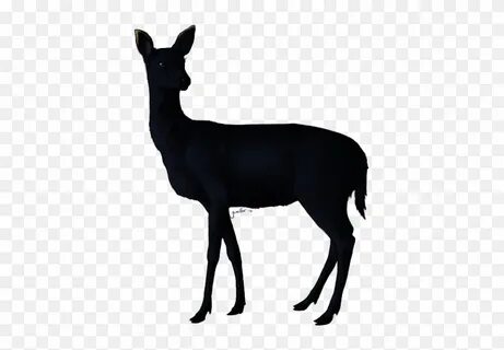 Mule Deer X Unknown - Female Deer Silhouette - Free Transpar