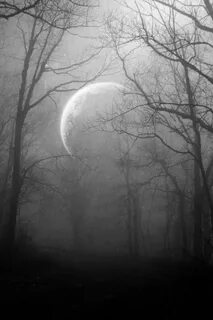 The moon and the mist.