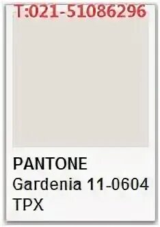 PANTONE Gardenia 11-0604 TPX 色 号 查 询 PANTONE 潘 通 国 内 代 理 商--