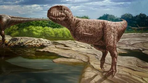 Breathtaking Images of China's 2023 Dinosaur Discoveries