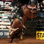 Pin by Grant Wilkerson on PBR Bull riding, Pbr bull riders, 