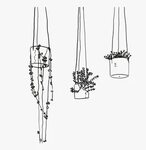 Hanging Plants - Line Drawing - Hanging Plants Line Art, HD 