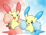 TOP 5 POKEMON FROM PIKACHU'S FAMILY Pokémon Amino