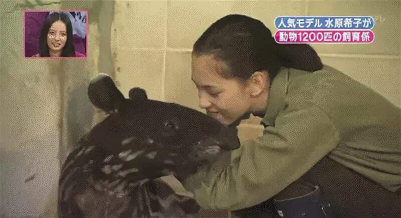 Animal kisses japones japanese GIF - Find on GIFER