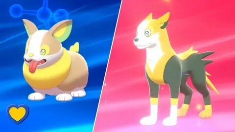 What Does Yamper Evolve Into at What