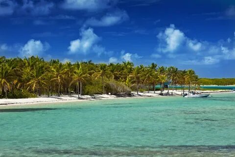 Islas del Mundo: Guadalupe.