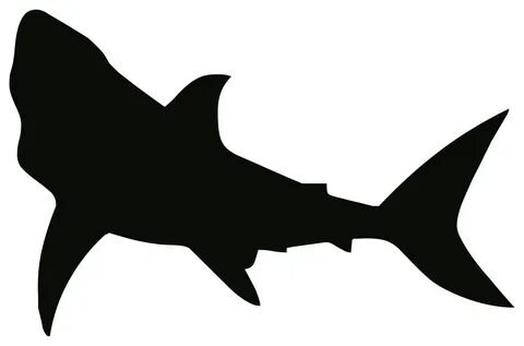 Silhouette Drawing Outline Shark PNG Picpng