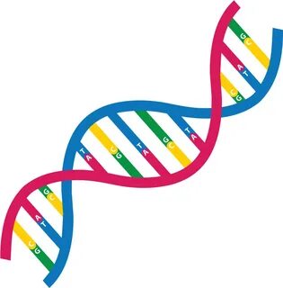 Do You Wanna Know More About Genome Assembly So, Take - Dna 