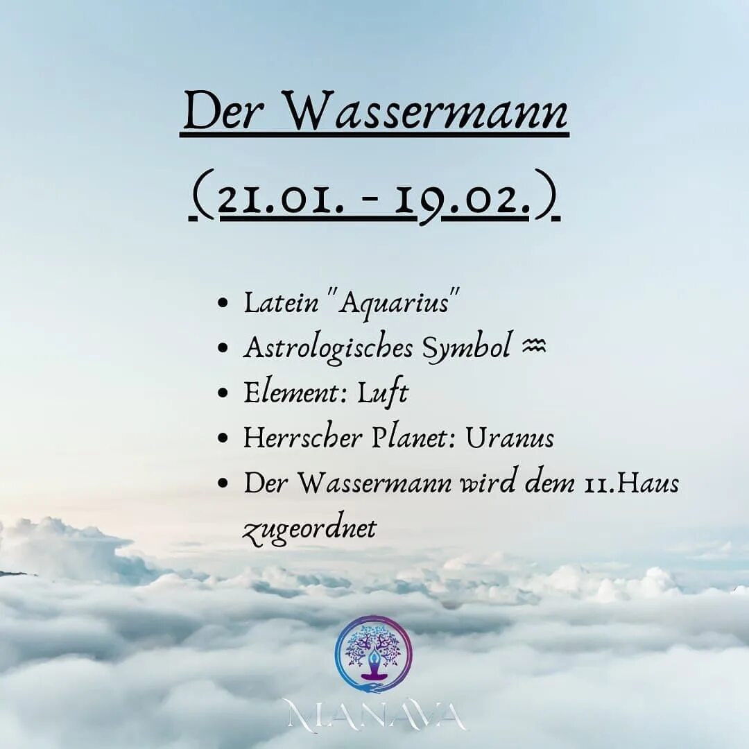 Wassermann wasi steam classic фото 35