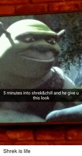 5 Minutes Into Shrek&chill and He Give U This Look Shrek Is 