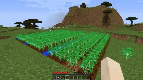 Images Dandelion With Mods Texture Packs Projects Minecraft 