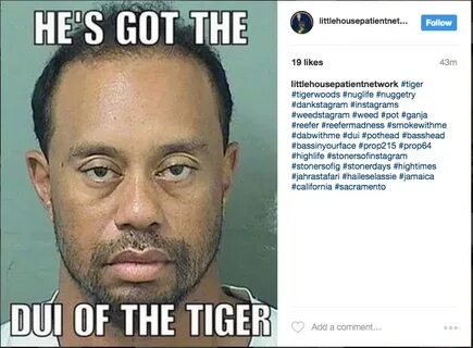 Tiger woods dui Memes