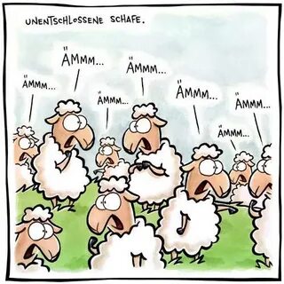 #schafe #sheeps #nichtlustig #lustig #bild #picture #funny #