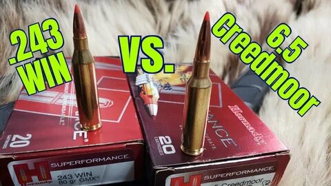 6.5 Creedmoor vs. 243 Winchester - The Reloaders Network